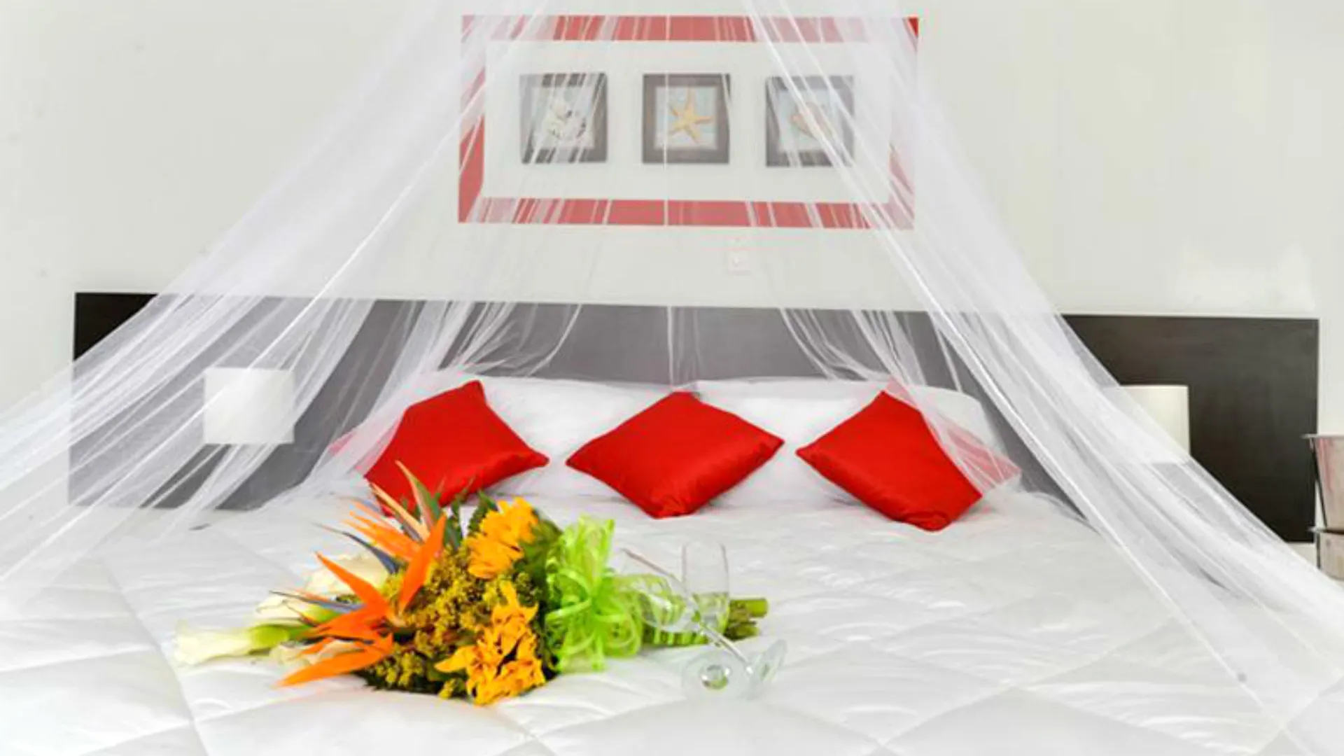 Hotel Portofino San Andres  San Andres (San Andres and Providencia Islands)